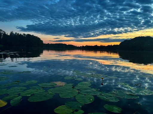 Sonnenuntergang über einem ruhigen See mit Seerosen und reflektierenden Wolken.