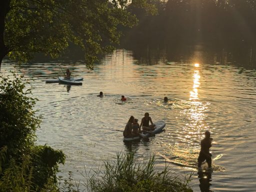 Personen schwimmen und paddeln im Wasser bei Sonnenuntergang, umgeben von Bäumen.