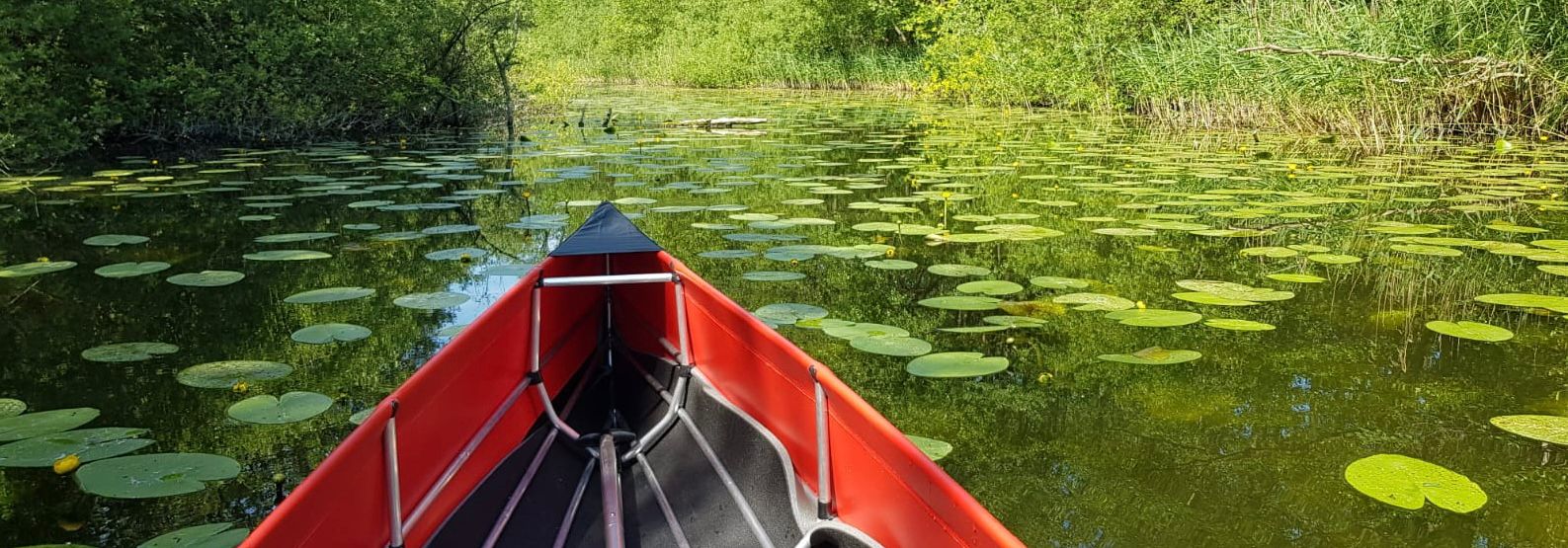 Unterwegs auf der Dalbergkuhle Rotes Kanu auf ruhigem Wasser mit Seerosen und üppigem Grün im Hintergrund.